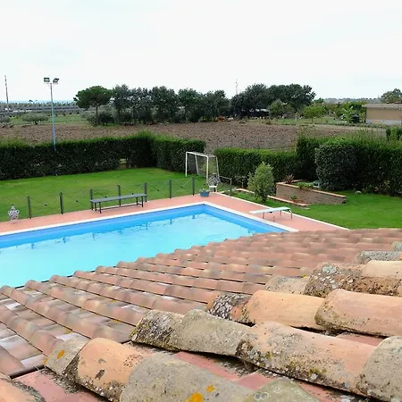 Farci